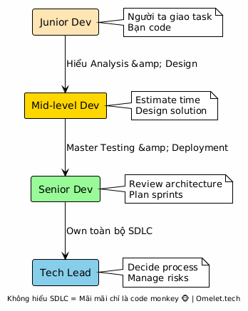 Diagram illustrating the roles in a software development team: Junior Developer, Mid-level Developer, Senior Developer, and Tech Lead, along with their responsibilities and the flow of tasks between them.